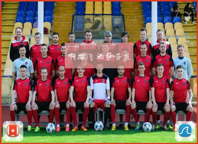 世界杯足球队介绍：参赛球队阵容与赛事看点全解析