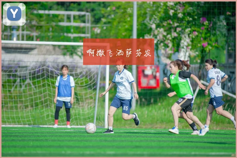 世界杯足球队介绍：参赛球队阵容与赛事看点全解析