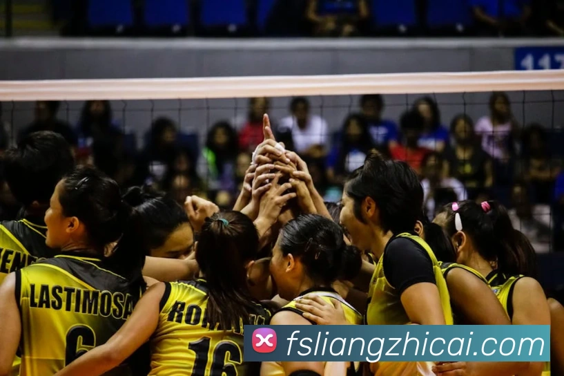 必一运动官网登录APP 封面图